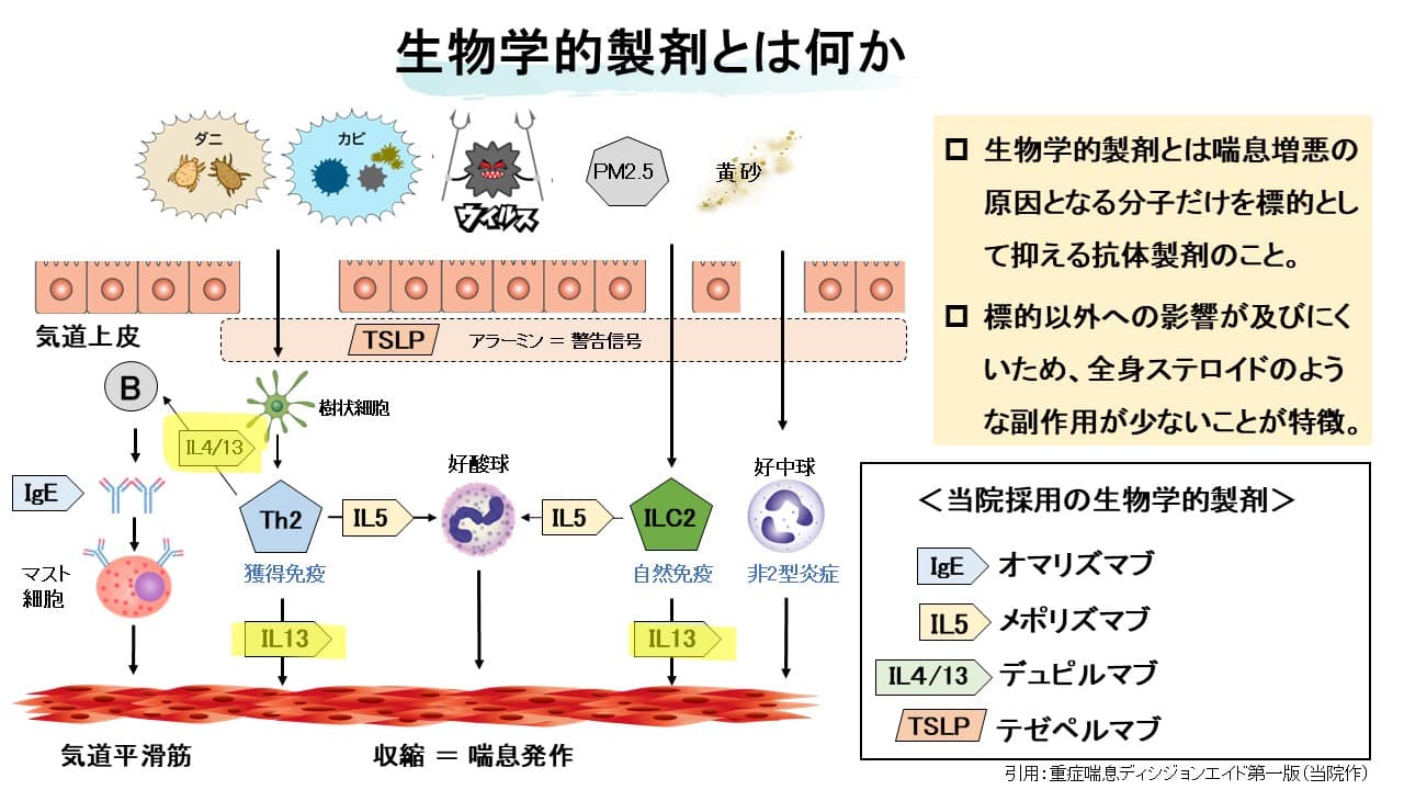 生物学的製剤の作用機序